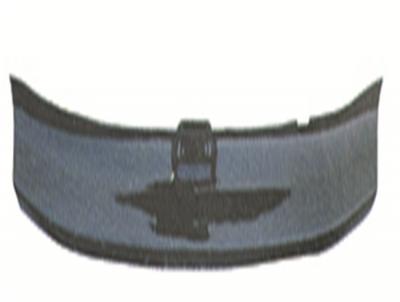 CRV 08 REAR LICENCE PLASTIC