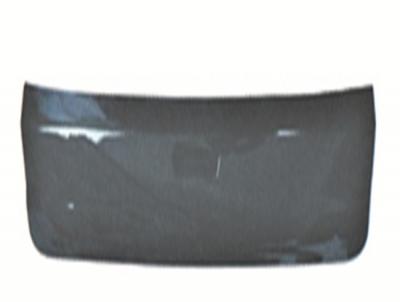 CRV 15 REAR LICENCE PLASTIC